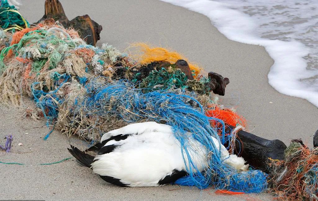 自然反义词是什么呢,自然的反义词是什么词