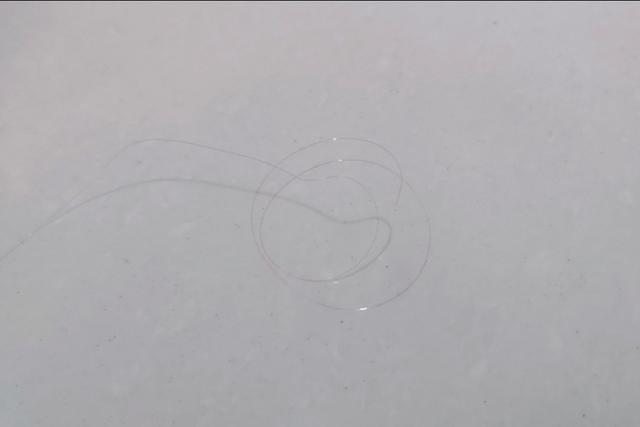 一味台钓线,一味经典线组