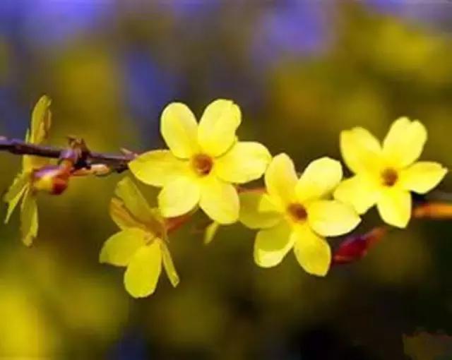 禹州清明踏青旅游攻略,禹州春游爬山的好地方