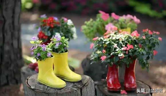 废物改造花盆绿植,旧物改造吊兰花盆