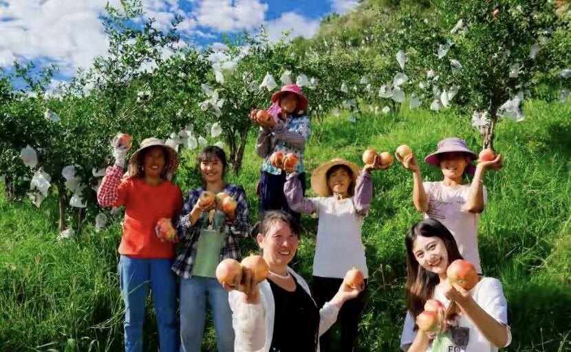 四川女孩辞职回家创业,四川女子大厂辞职卖水果