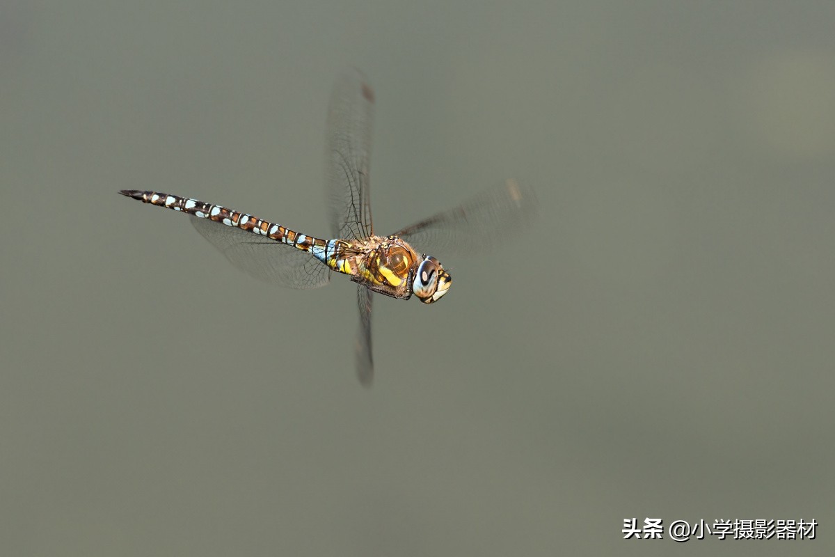 尼康180-400镜头有啥缺点,尼康长焦拍摄风景性价比高