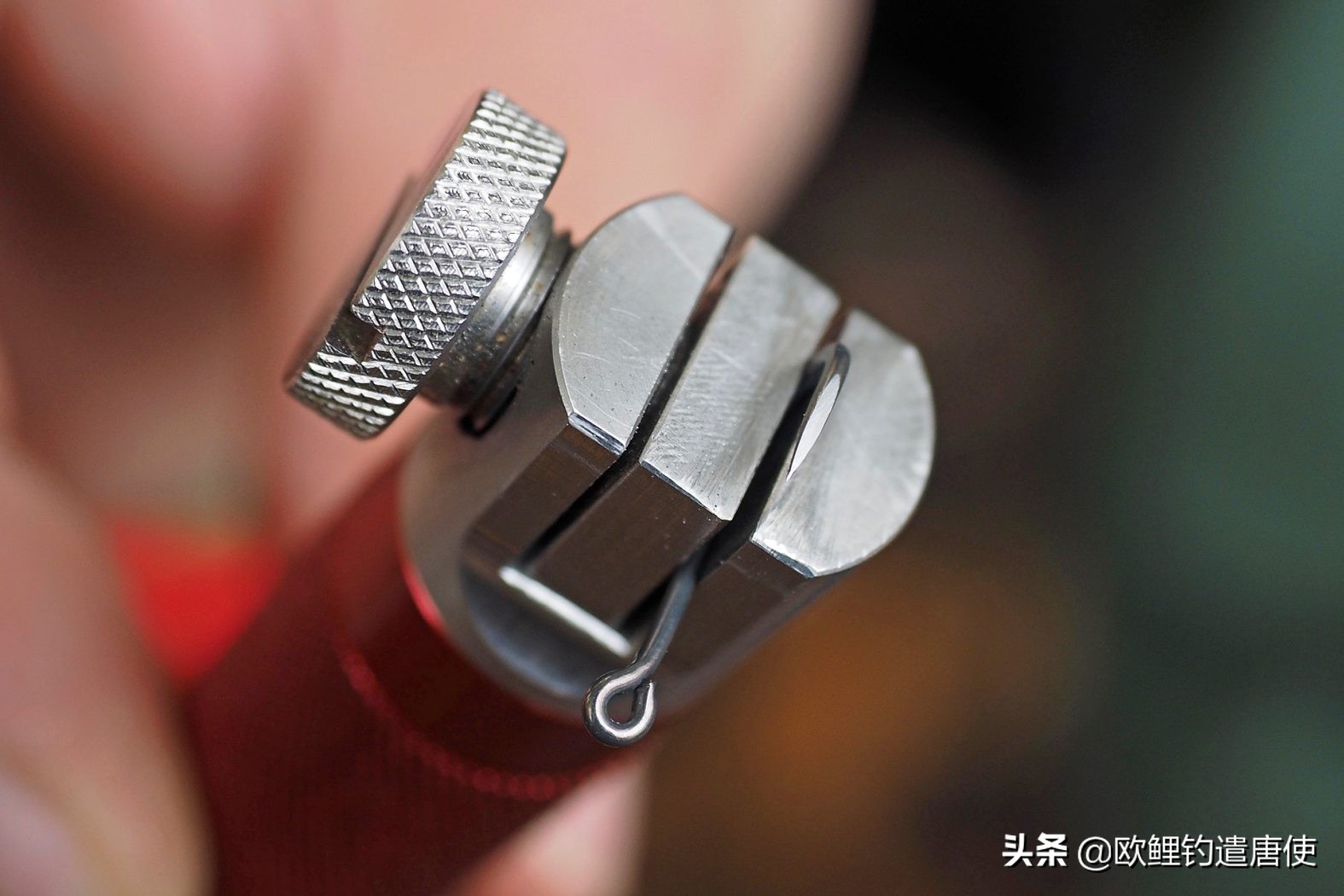 欧鲤钓真正的挂饵方法,欧鲤钓法视频教程大全