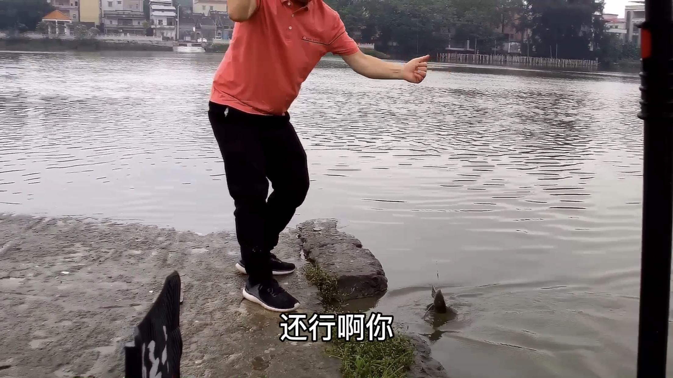 双钩调平水目数和饵料的变化,浮漂空钩调平水钓二目视频