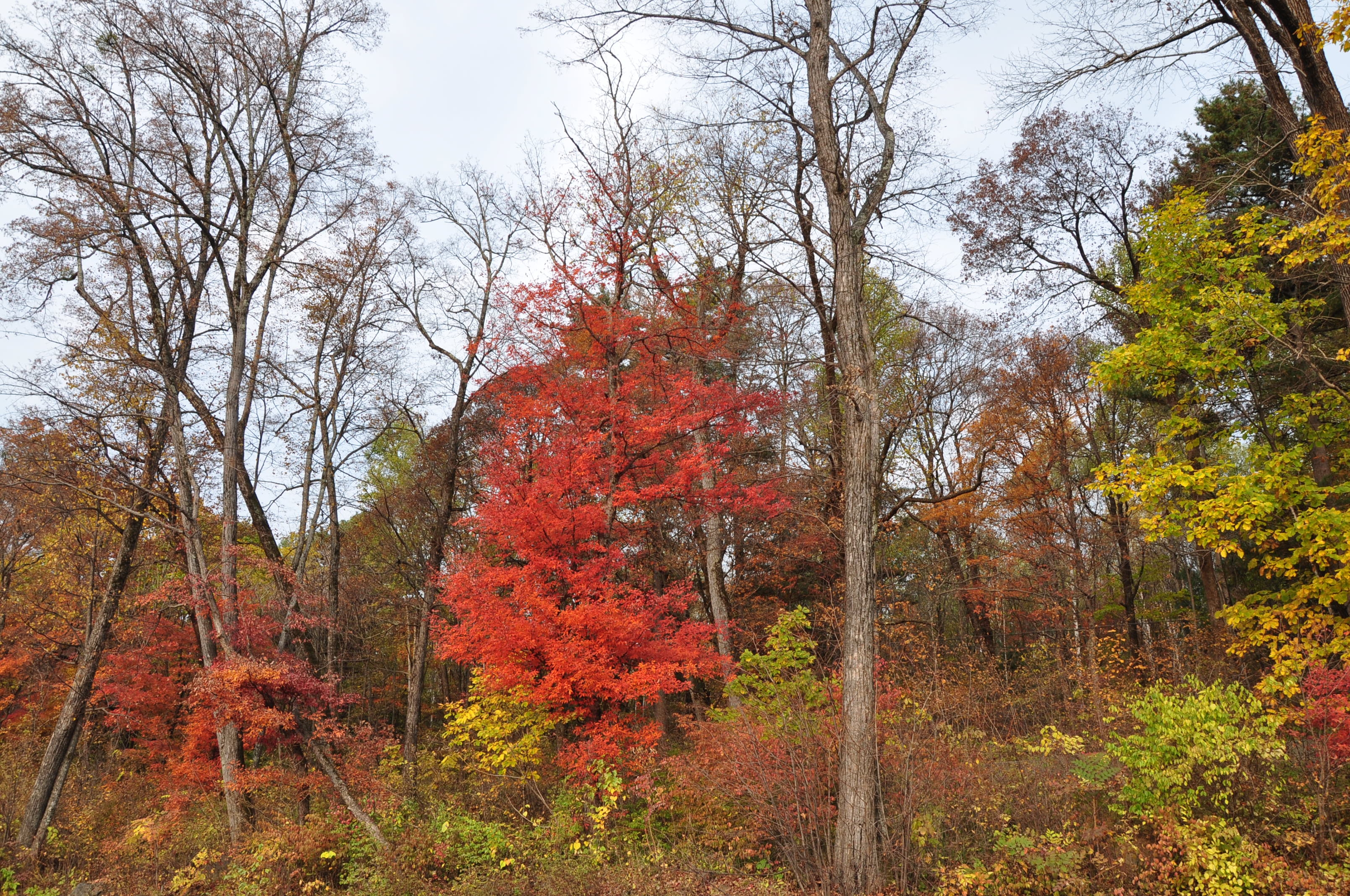 自驾西北旅行记,西北环线自驾旅行记录