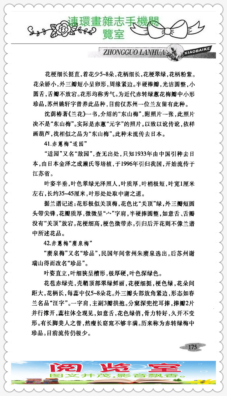 中国兰花的品种图片,中国兰花小百科书籍有哪些