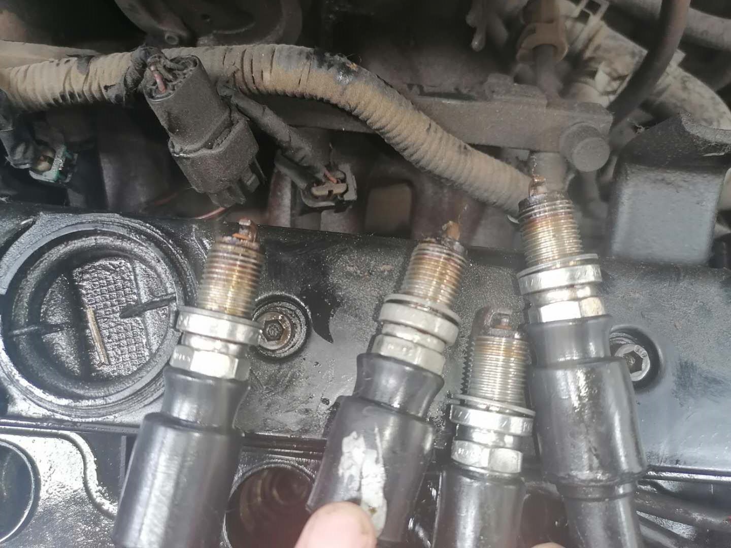 鑳栧摜璇磋溅鍒厠鍑秺,鑳栧摜鍑秺