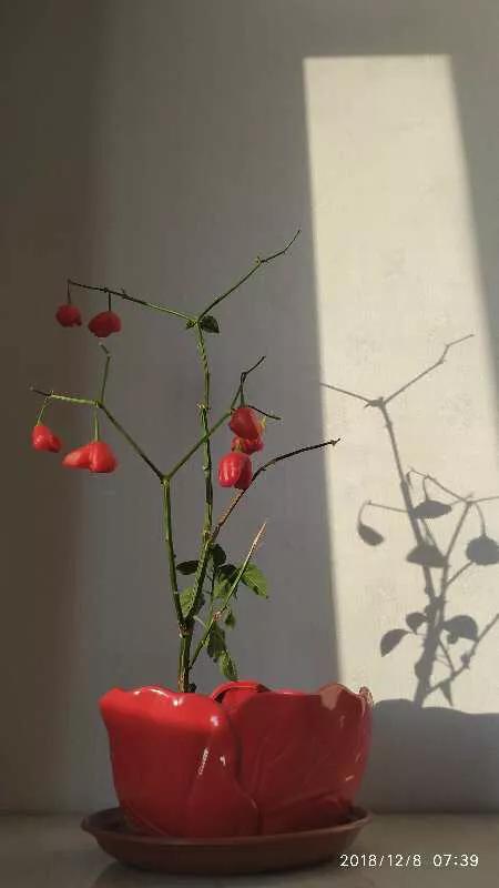 手拍世界摄影网,手拍世界完整版视频