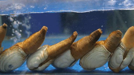 重庆的大型批发市场,最新最全重庆批发市场一览表