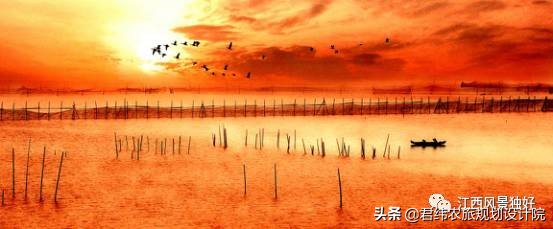 鄱阳湖候鸟保护区站长是谁,鄱阳湖候鸟江西都昌县