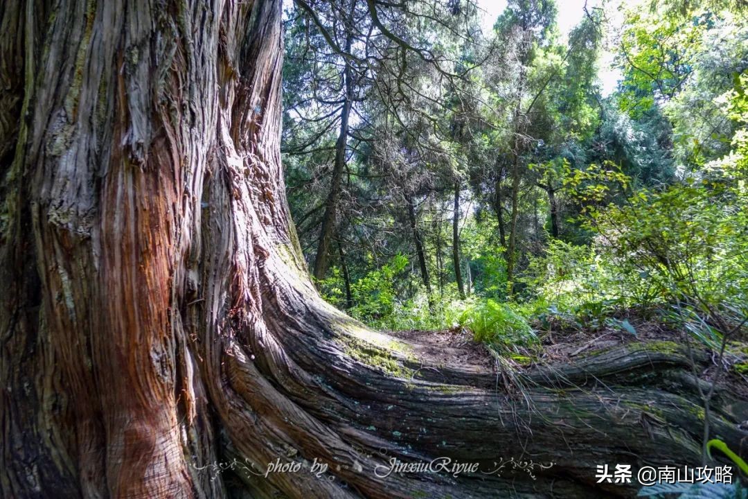 十一月小众冷门旅行地推荐,8月必去的十大旅行地