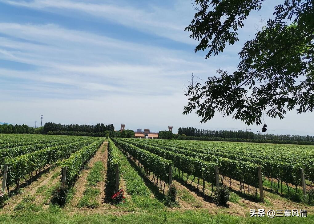 西安欧式古堡在哪里,西安欧式古堡