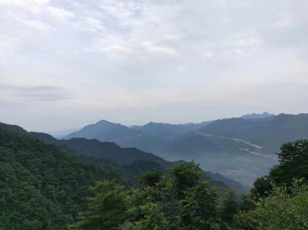 安徽名茶多少钱一斤六安瓜片,六安瓜片属于安徽名茶吗