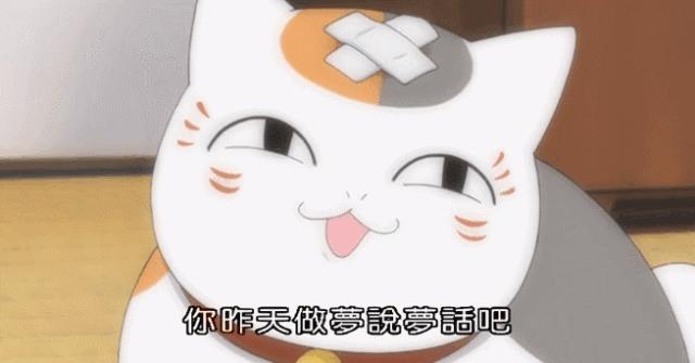 千万不要和对象一起养猫,为什么不能和养猫的男生谈恋爱