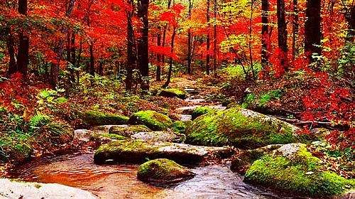 蛟河地理特点,蛟河地名的来源