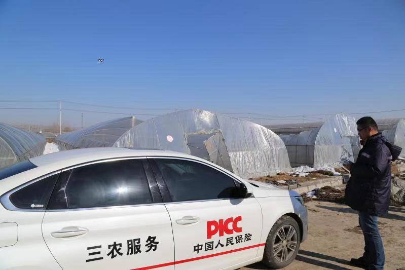 扎扎实实服务乡村振兴战略徐州人保财险创新农险高质量发展纪实