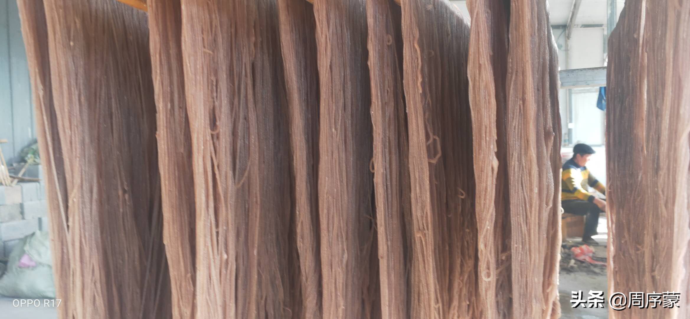 苏北双港盛产山芋和山芋粉条,流传下许多传奇的故事