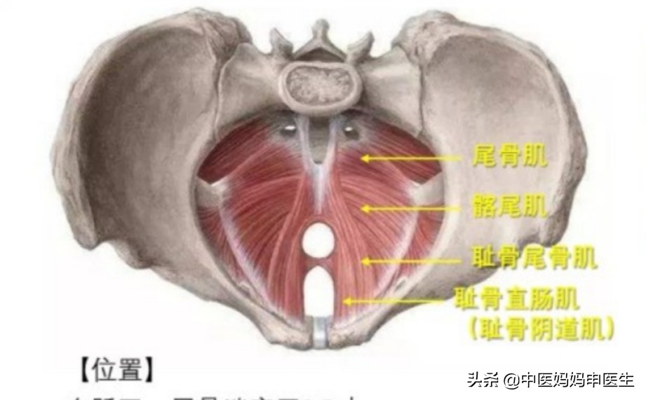 40岁产后女性漏尿怎么改善,女人生完孩子总是漏尿松弛怎么办