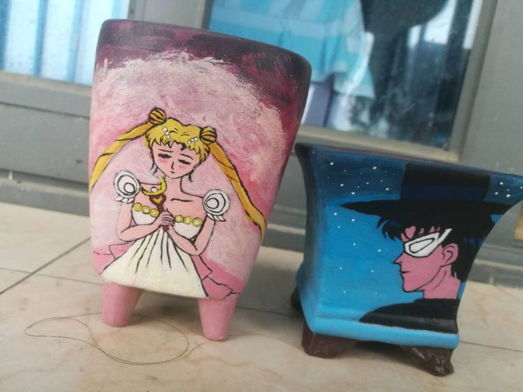 误打误撞的多肉情缘,带我走进多肉小世界!