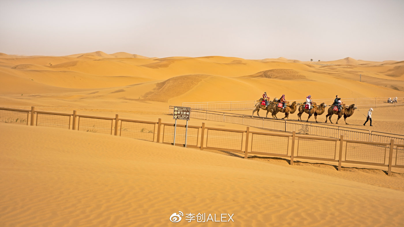 来宁夏玩的攻略,从宁夏去内蒙怎么玩