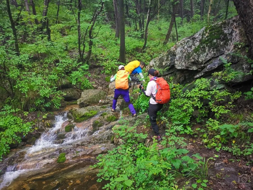徒步穿越北驼梁完整版,穿越花海古道游记