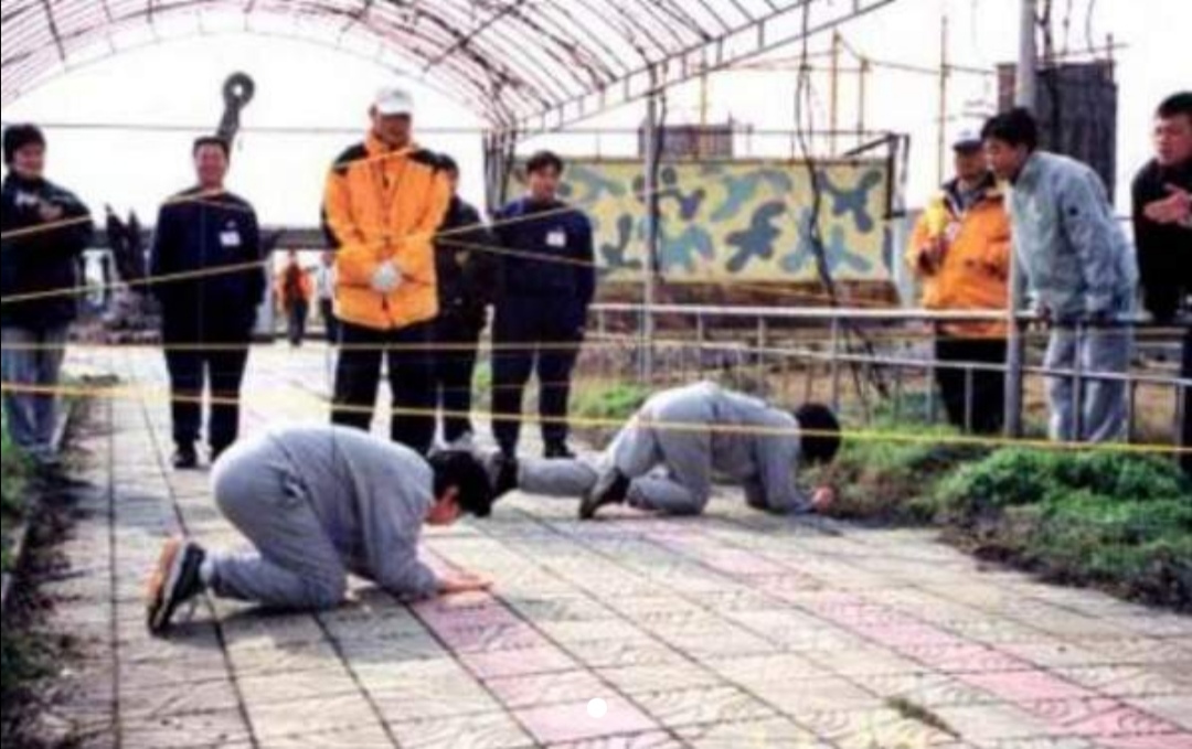 浪漫玫瑰凯瑟琳泽塔琼斯偷天陷阱,浪漫玫瑰凯瑟琳泽塔琼斯完整版