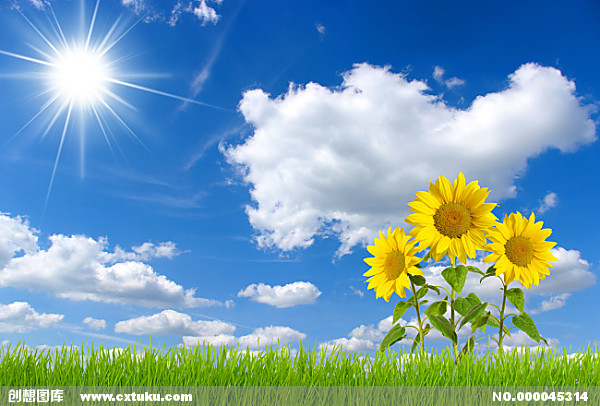 我从健康到微跛，到拄手杖，到拄双拐，再到坐轮椅的大半生