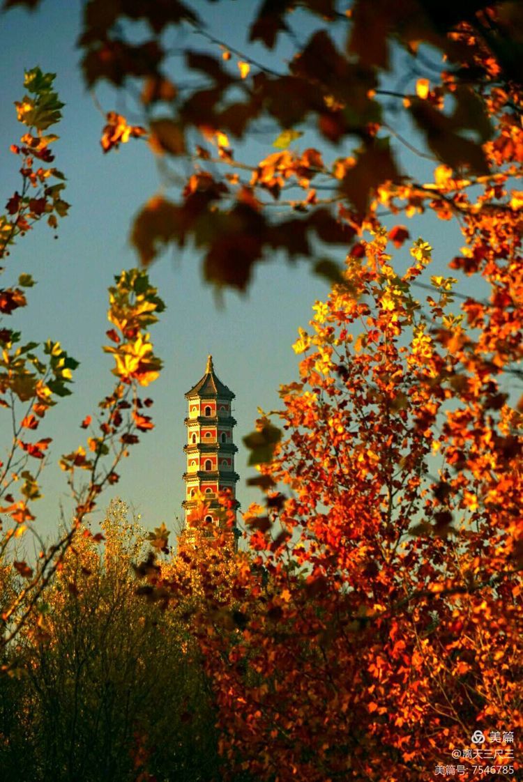 玉泉山北坞公园介绍,北坞村玉泉山