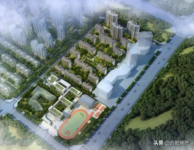 合肥性价比最高的小学学区房,合肥市十大中小学开学时间