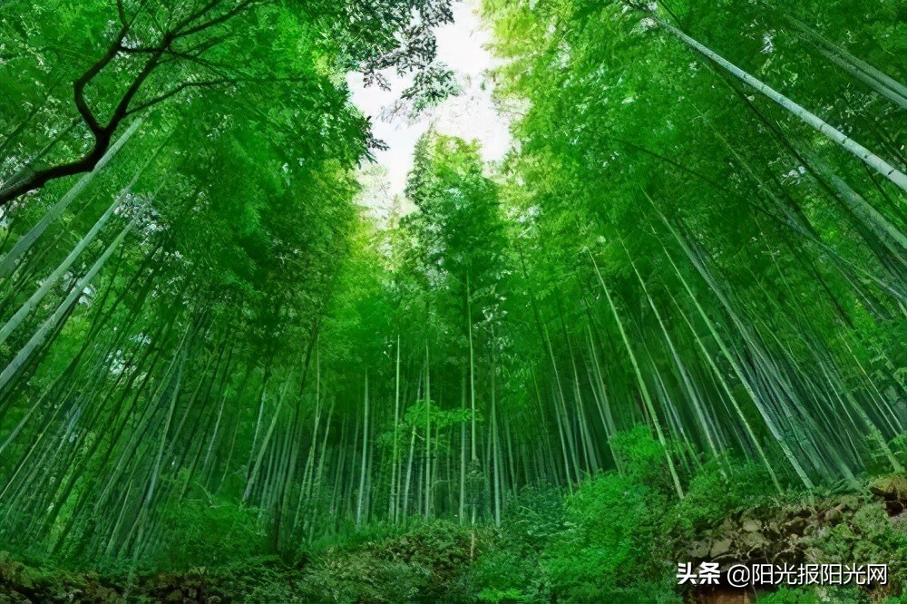 西安市灞桥区东城第二小学优秀导游词选登︱“您来十四运我做小导游”学校推送,第2站