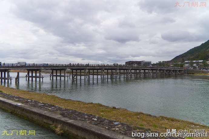 京都岚山风景区在哪,京都岚山樱花