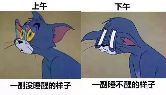 春困秋乏睡不醒是什么意思,春困不是病困起来真的是要命