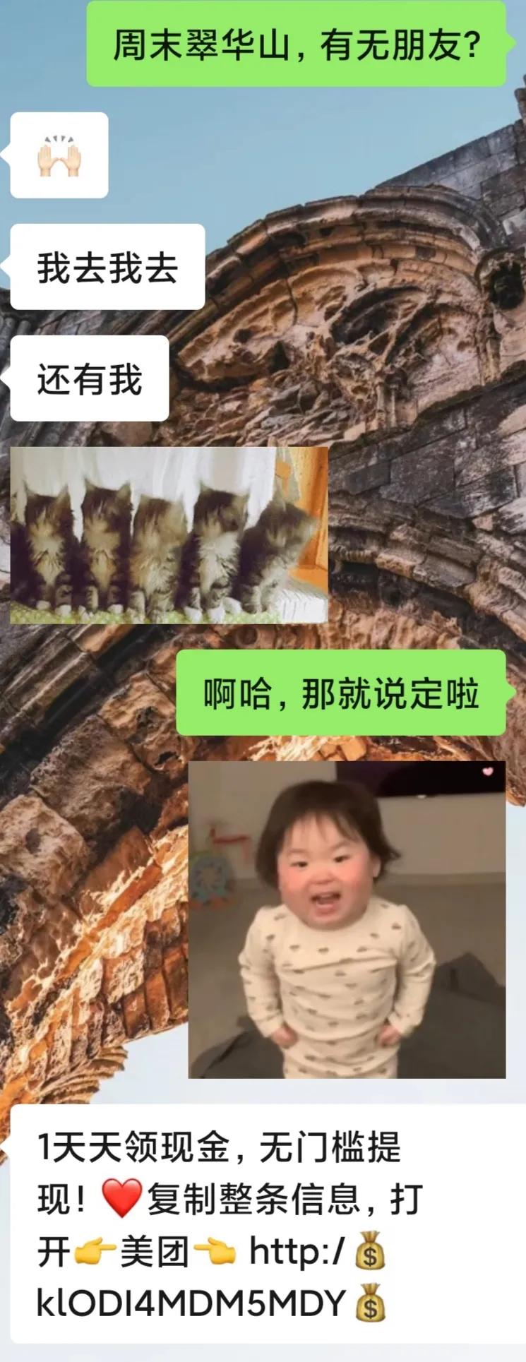 西译的花式群名，确定不看看吗？