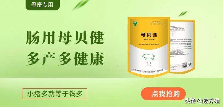 吃了驱虫药依然排出虫子,猪场驱虫3大误区