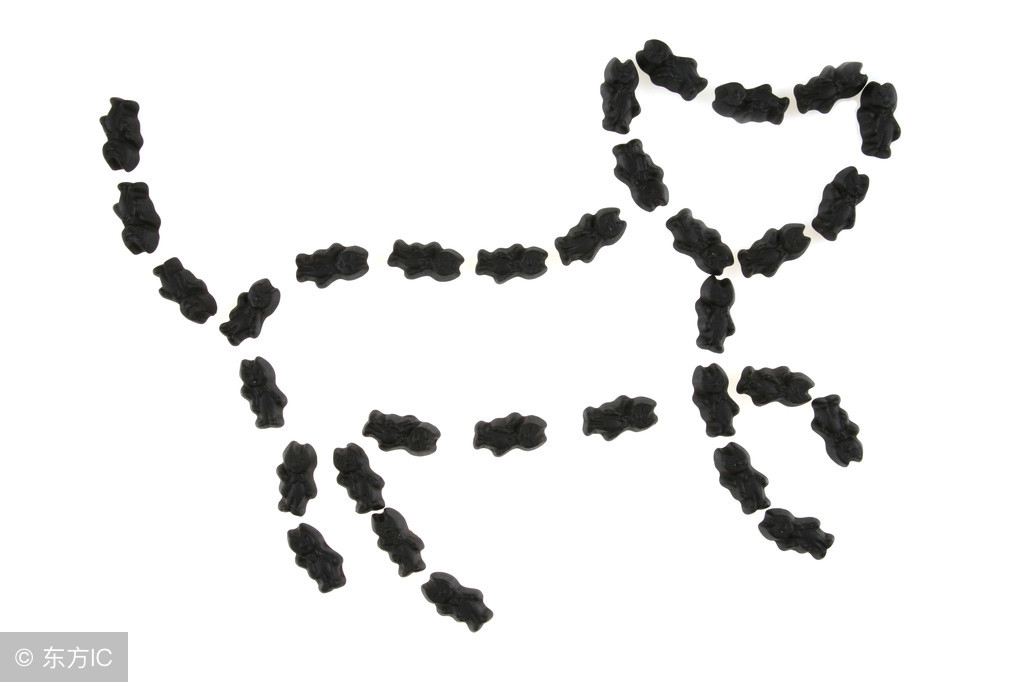 积极向上正能量的四个字的成语,励志的成语经典语句短句