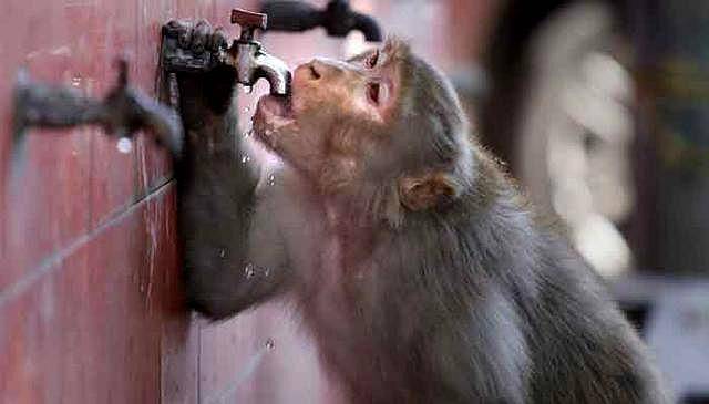 印度超高温天气,印度高温愈演愈烈气温突破70度