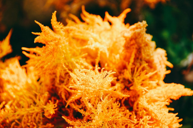 观天坑，游溶洞，桂西北最名不见经传的冷门旅行目的地——乐业