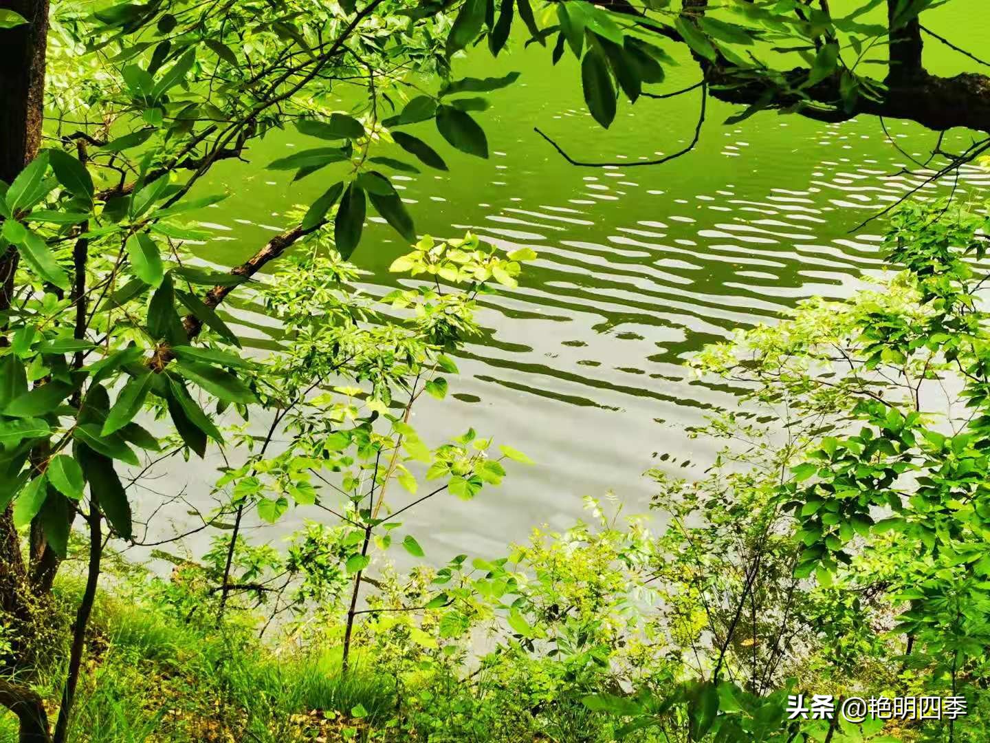 河南平顶山画眉谷——画眉声声谷愈静,流水淙淙山更幽