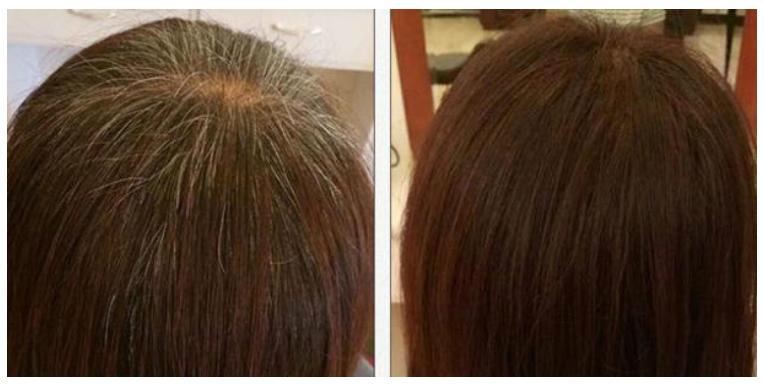 这种花是天然“染发剂”,阳台种几盆,白发去无踪