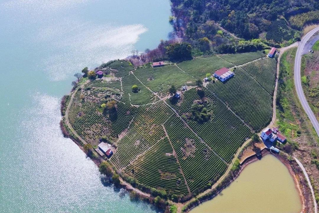 江浙沪天然温泉度假村排名榜,江浙沪温泉最好的地方排名