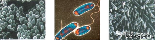 中央空调清洗保养流程,中央空调清洗保养方案设计图