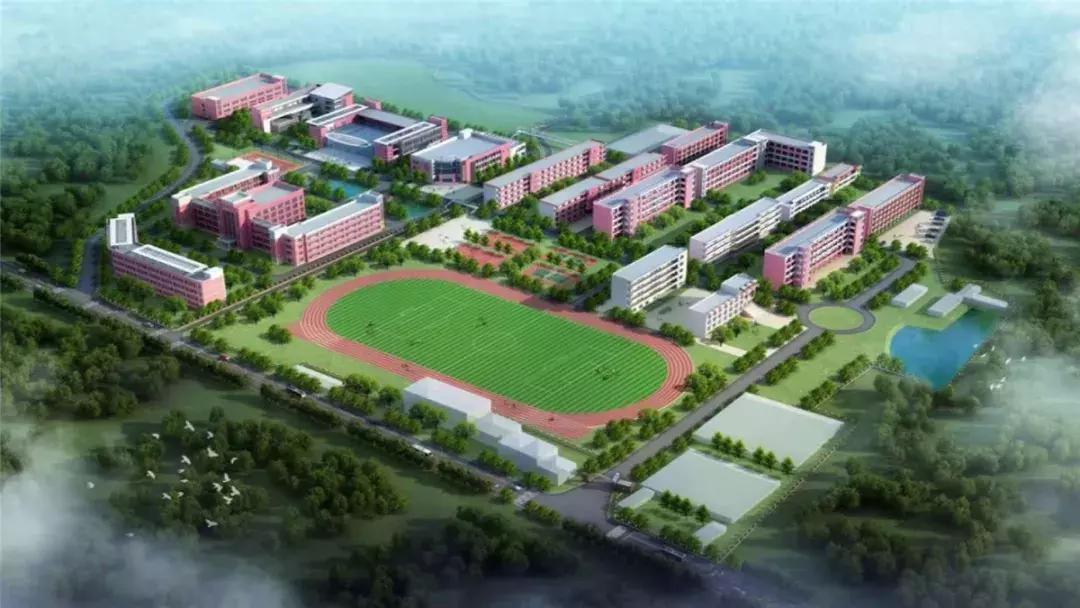 江西兴国小学教学质量排名,兴国县哪些乡镇教学质量比较好