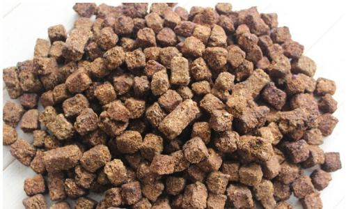 中药神曲主治什么病,中药神曲功效作用