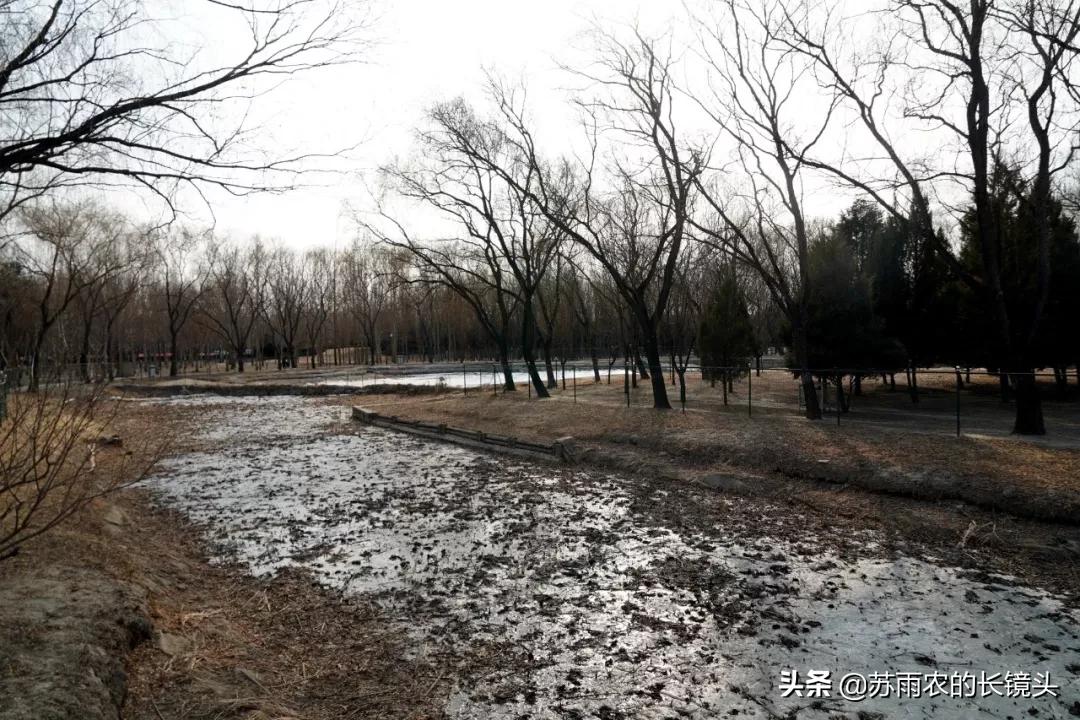 京城闹市寻幽（89）：春节假期中萧瑟的古塔公园