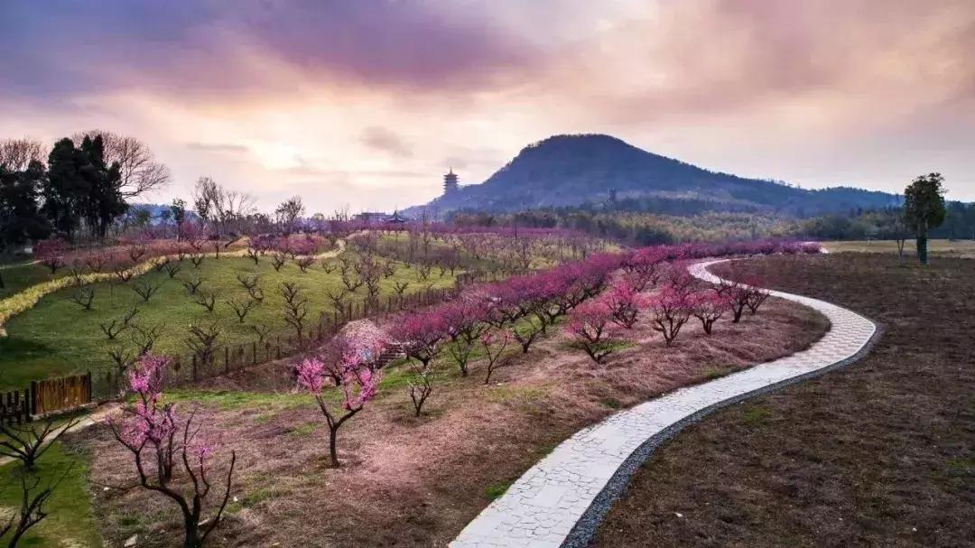 南京旅游必去十处,南京旅游十大必去免费景点排名