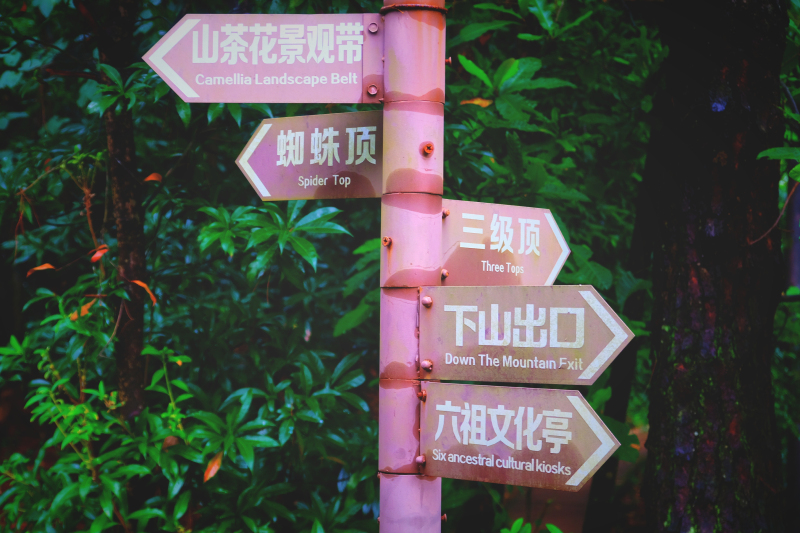 云浮南山森林公园锦鸡,云浮南山森林公园航拍