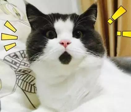 画画真神奇,画画有多神奇