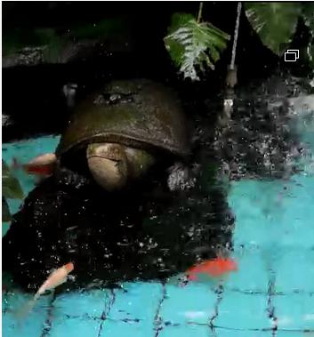 对于孩子离家出走大人应怎么教育,背井离乡孩子哭闹怎么办