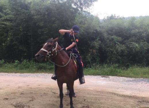 楠戝叺椹垁鍔堝埡鏁欏,楠戝叺椹垁鍔堝埡