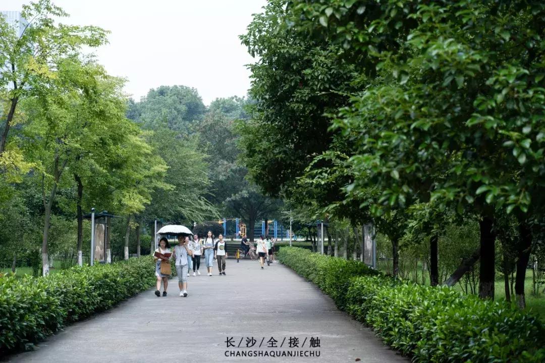 长沙最青春公交，串联6所大学的记忆